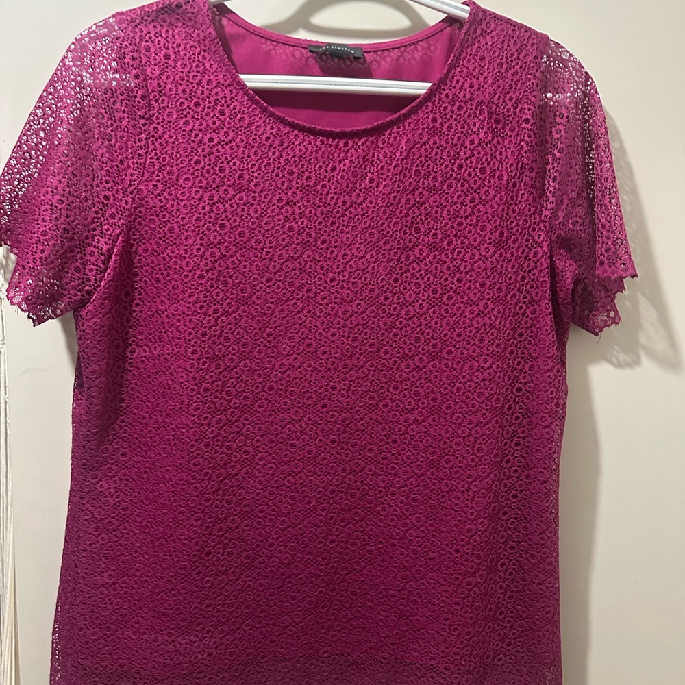 The Limited Magenta Lace Blouse